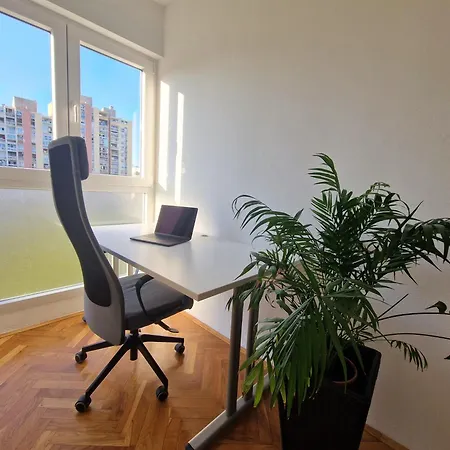 Luminous Apartment